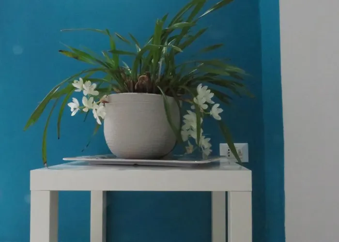 Bluemind Freedom Tropea