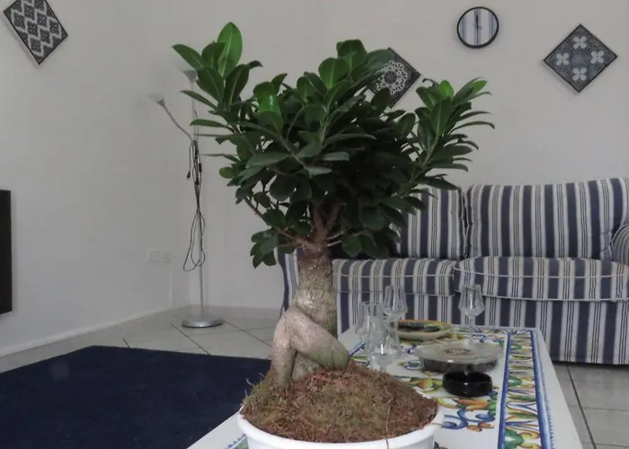 Bluemind Freedom Tropea