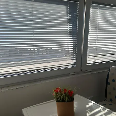 Bluemind Freedom Tropea